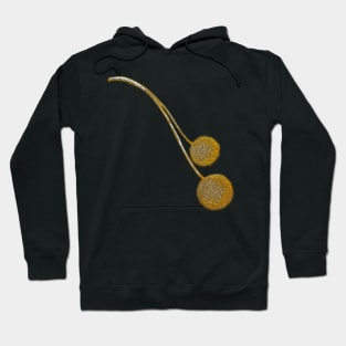 Cute Fall Branch Hoodie